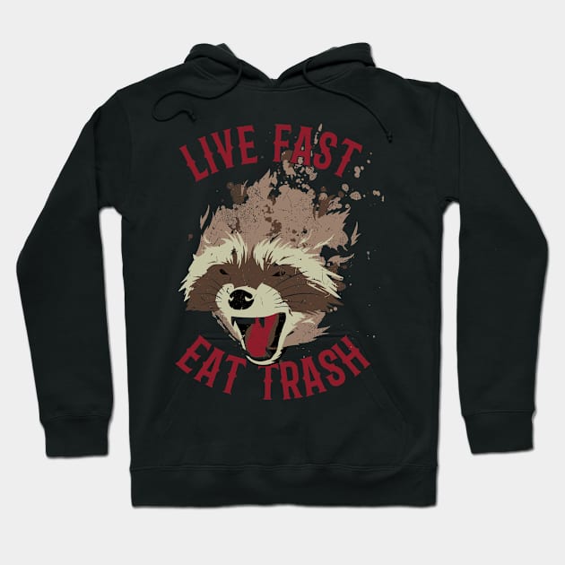 Live Fast Eat Trash Angry Raccoon Face Textured Hoodie by Virkalosa